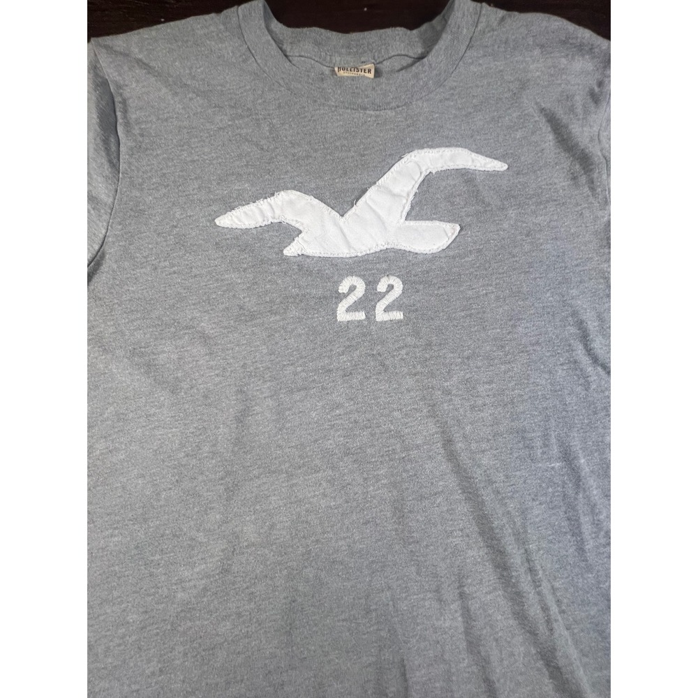 Hollister California Mens XL Gray Y2K Vintage Seagull Logo Graphic T-Shirt